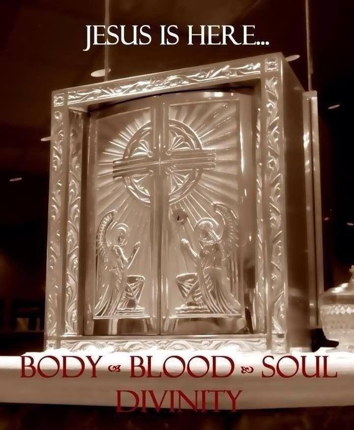 PadrepioSaint's tweet photo. "Let us run to the feet of Jesus in the Blessed Sacrament, and let us place ourselves in the midst of the heavenly perfumes •••• and we will undoubtedly regain our strength."

My Lord and my God! https://t.co/JLsS4Ywo2K