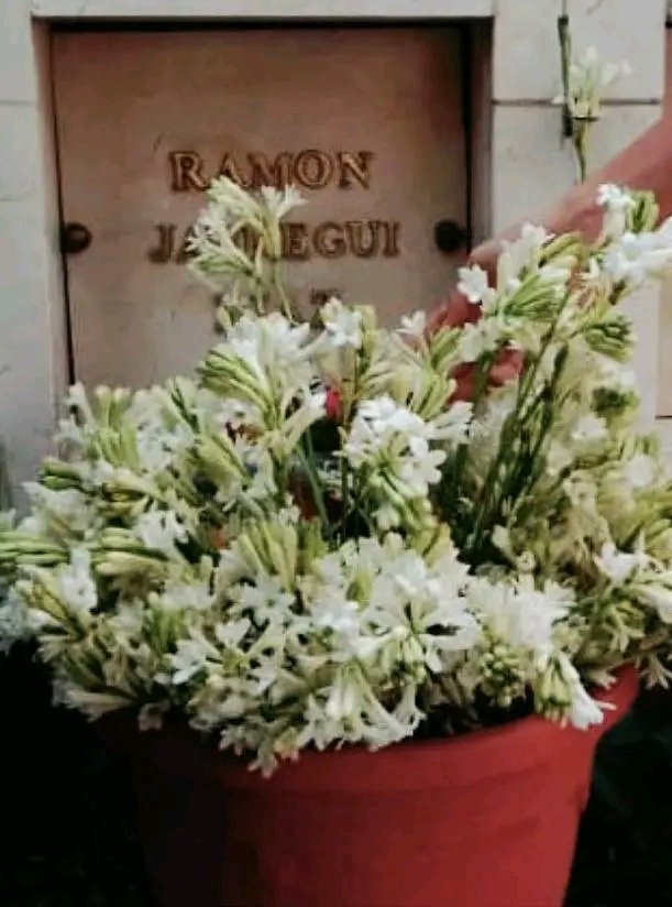 meneses_lionel's tweet photo. #Cuba #DPECienfuegos Cienfuegos rinde tributo a uno de sus hijos más queridos, Ramón Jaureguí Díaz, mártir de Girón, cuyos restos identificados recientemente son traídos a su tierra natal. @AcrcNacional @barreto_nt @FernandezMaryde @CoronaAlexandre https://t.co/BOED7OwjPX