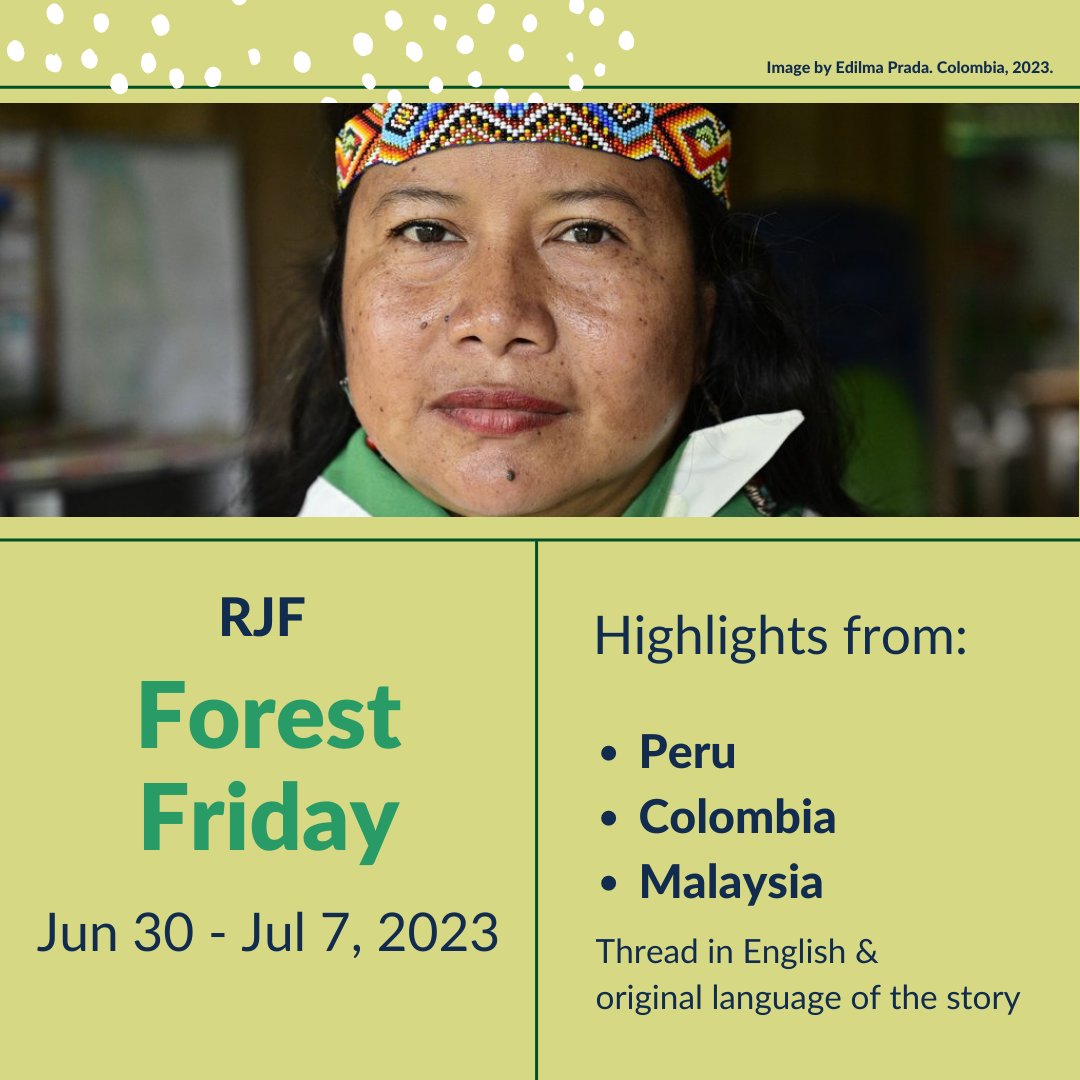 Ocean_ORN's tweet photo. #ForestFriday! 🌿

This week, @pulitzercenter #RainforestReporters bring:

▪️How forest communities are resisting sectors such as oil and timber in Peru.
▪️How plantation owners in Sabah are setting aside land for conservation.

Read the 🧵 1/5👇 https://t.co/FRezMlFlx6