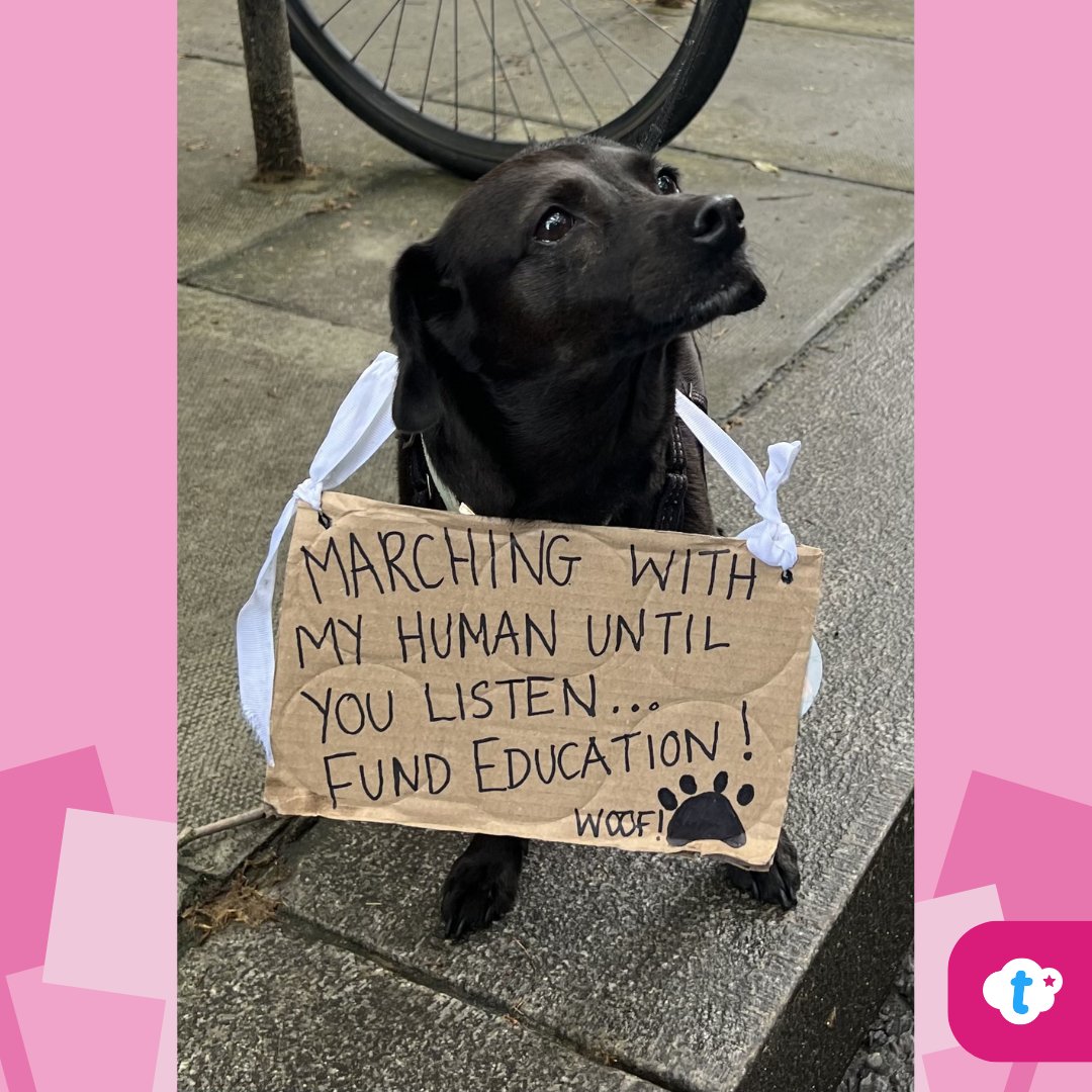 twinklresources's tweet photo. You lot are a creative bunch! Here are a few stand-out placards we’ve seen on the picket line. Show us yours in the comments below👇

If any of these images are yours let us know and we’ll give you credit 📸 #TeacherStrikes #TeacherStrike https://t.co/1tigLjklAA