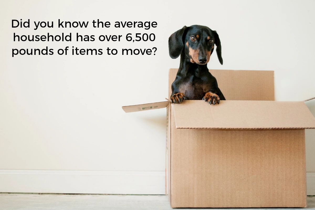 CollegeBoundMov's tweet photo. Don't get stuck moving all that weight on your own. Hire a professional team like ours to do the heavy lifting for you. https://t.co/hqt3P1nJml