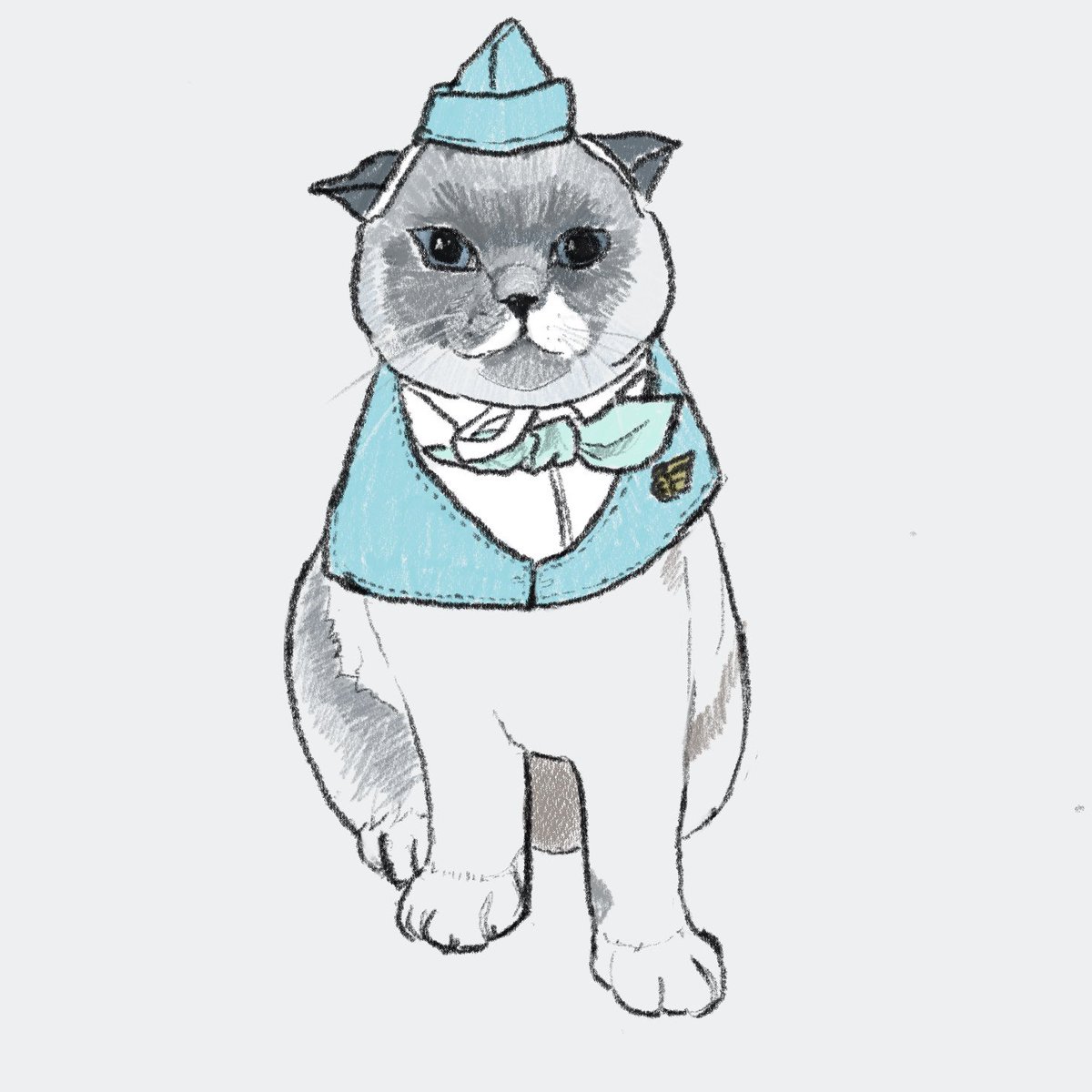 willdrawyourcat's tweet photo. @CatWorkers @cielmeowmun What airline is this? https://t.co/g036BizfJy