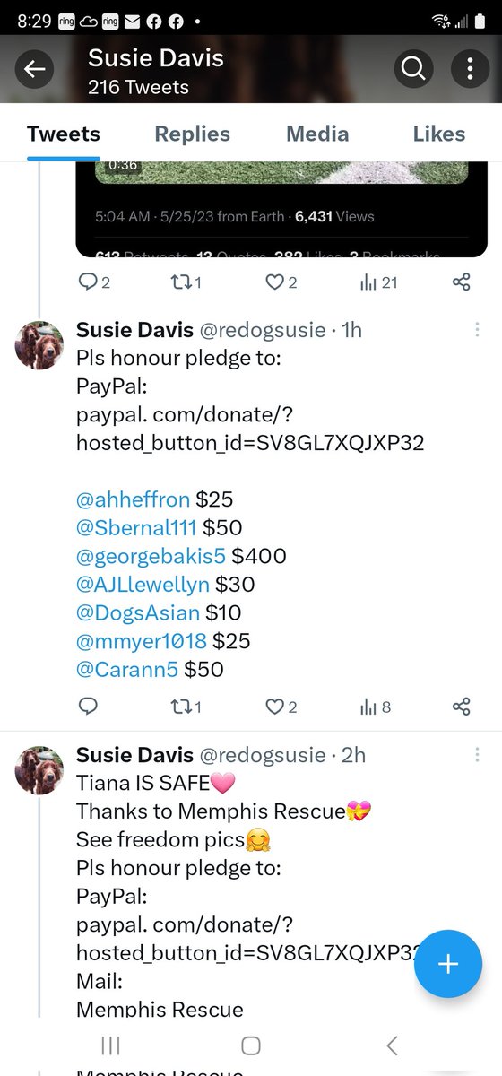 🚨Scammer Alert🚨 @redogsusie Block & Report Impersonating our @reddogsusie Nope, we need to stop them Tweets have been deleted I hope no one paid