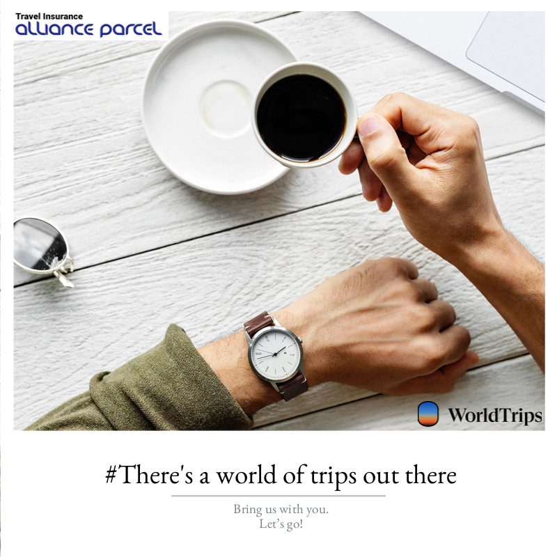 AllianceParcel's tweet photo. Discover hassle-free and versatile trip insurance for your international travel needs. Enjoy the convenience of purchasing and filing claims from anywhere in the world.
https://t.co/4aY0E8Khx3
#TravelInsurance #Allianceparcel #WorldTrips https://t.co/Bqmls3YC7a