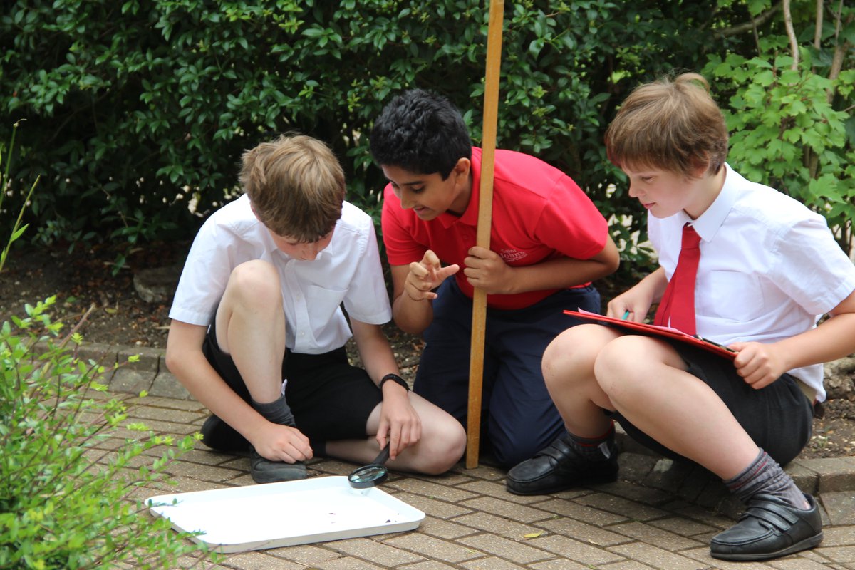 F4 were given permission in a recent #Science lesson to gently shake trees &amp; bushes to discover hidden bugs &amp; insects before identifying &amp; classifying them. Which were the most prolific &amp; why? #ecodiversity #insects #school #biology