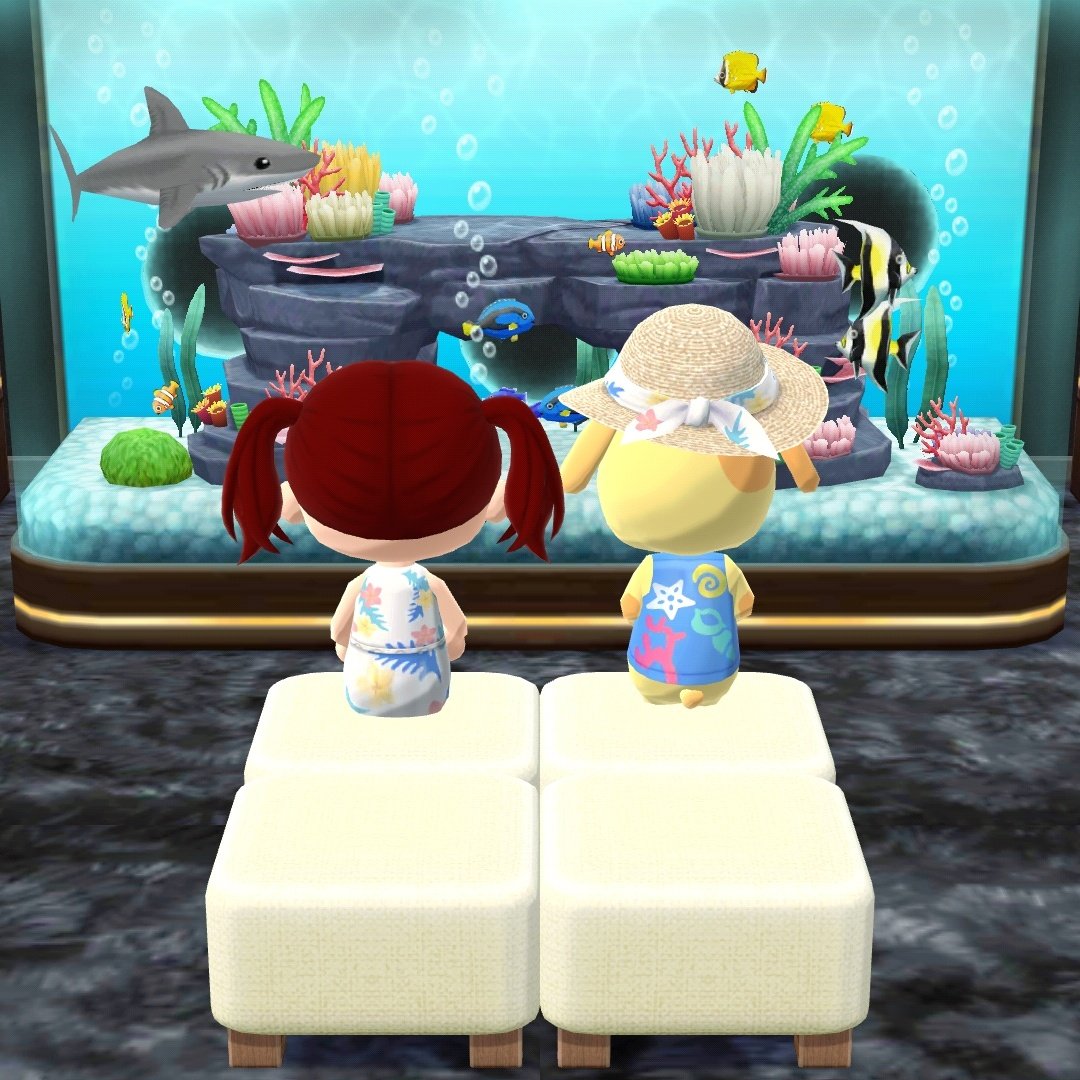 peachcatcherr's tweet photo. us at the aquarium 🫧🐬🐳

#acpc #acpcgallery https://t.co/lXNMFFBg5U