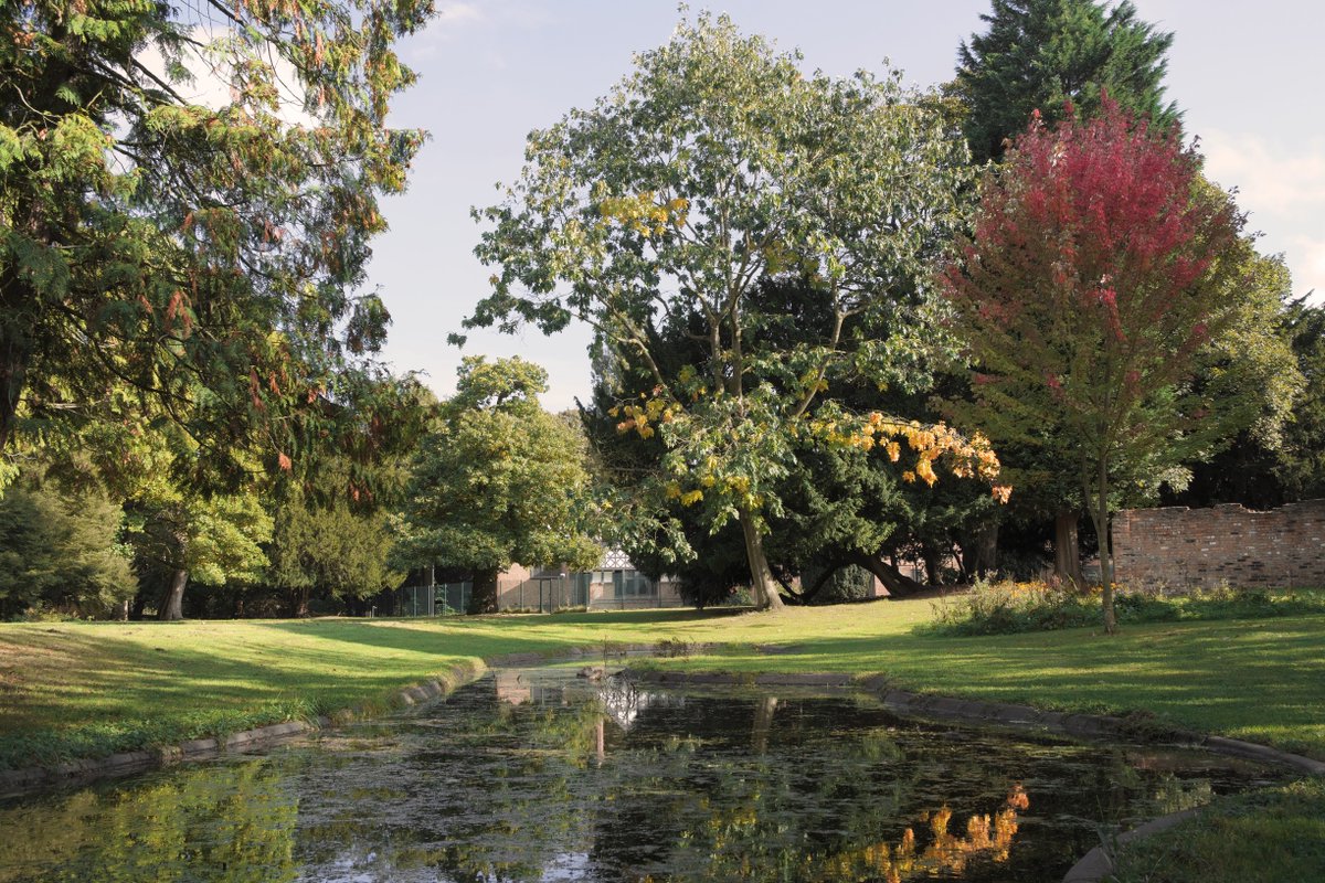 MCC Wythenshawe tweet media