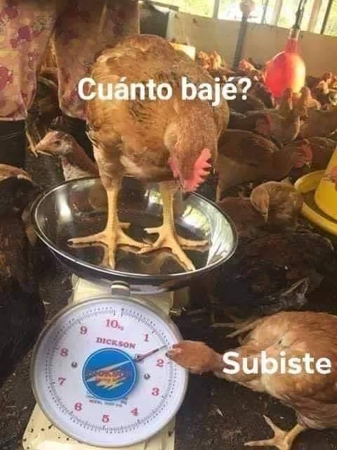 🇲🇽 México Mágico ✨ (@enmexicomagico) on Twitter photo 