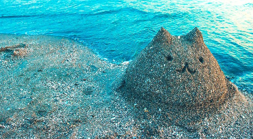 Is This Cat A Genius Or Is There Some Kind of Mystic Magic Afoot?

#LMKRP 

😺Muse
😽Mun
😼Info
😻Headcanons