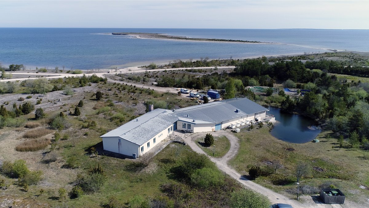 Välkommen till öppet hus på Forskningsstationen Ar som i år firar 25-årsjubileum. Boka in 31 augusti redan nu 🗓️ campusgotland.uu.se/om/kalendarium… #Östersjödagen #BalticSeaDay #Östersjön #ForskningsstationenAr #ÖppethusAr