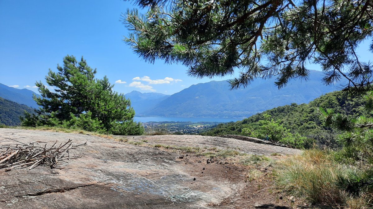 Ich habe eine neue Genusswanderung auf hikingTICINO.com veröffentlicht. Viel Spass beim Wandern!

Bosco di Maja, Arcegno