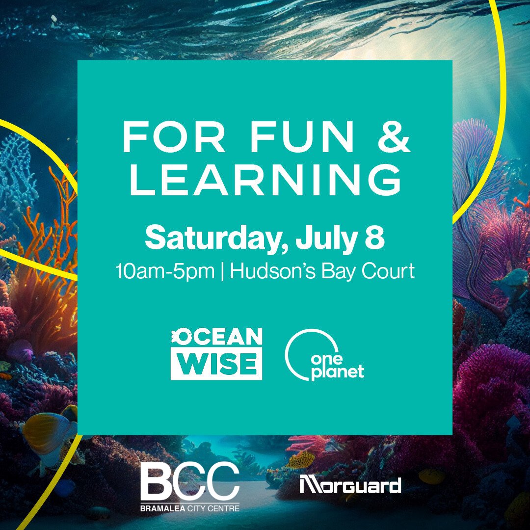BCCStyle's tweet photo. Experience the Ocean Wise Sea Dome, an immersive, digital ocean adventure that virtually transports you under the sea. See amazing marine artifacts and take part in interactive activities with Ocean Wise marine educators.

Hudson’s Bay Court
Tomorrow 10am-5pm

See you there! https://t.co/WU3fIIhSgs
