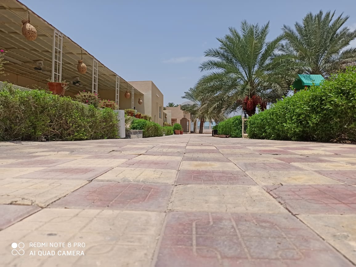oasisbreakbahla's tweet photo. احجز يومك المفضل في أجواء الطبيعة في استراحة الواحة للاستجمام العائلي بولاية #بهلا.
للاستفسار 95500600

#أخبار_بهلا
#صباح_الخير
#يوم_Iلجمعه
#جمعه_مباركه https://t.co/vzv24uqrNa