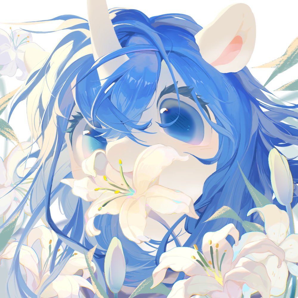 ✨Kimikaris✨ tweet media