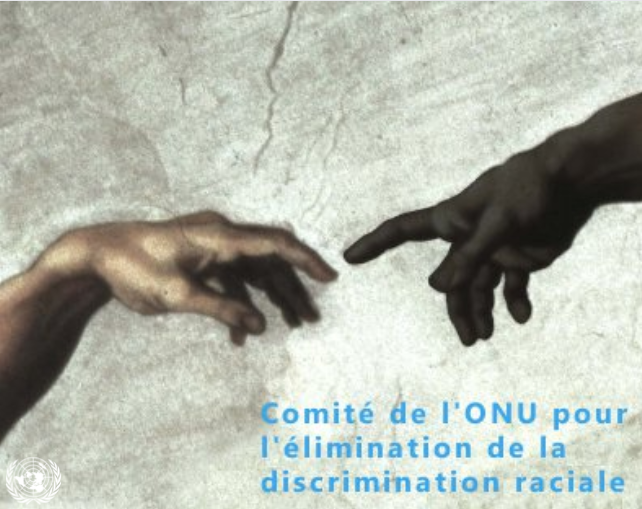 Le Comité #CERD vient d'adopter une déclaration sur la situation en #France🇫🇷, exprimant ses préoccupations et formulant un certain nombre de recommandations à l'État concernant le profilage racial &amp; l'usage excessif de la force par les forces de l'ordre.

ohchr.org/en/press-relea…