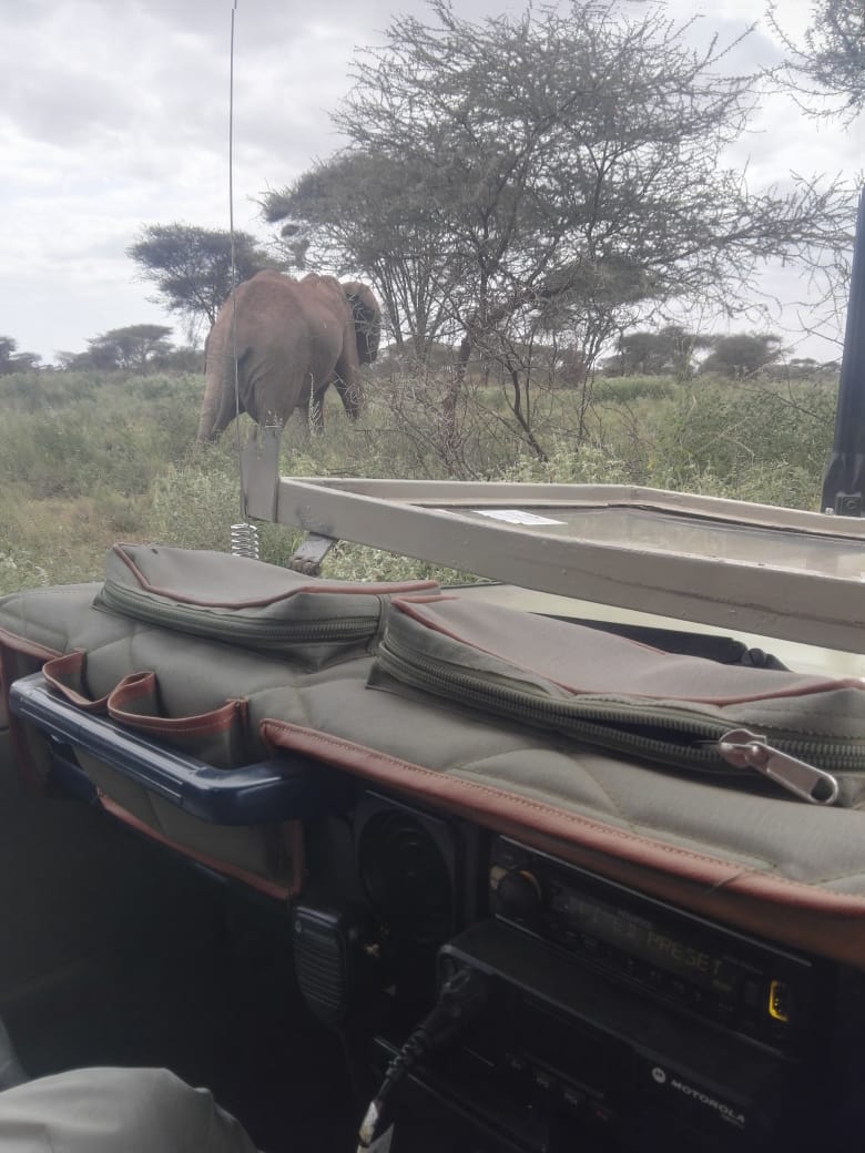 EcotourismP's tweet photo. Today, #Amboseli National Park. Coming by air, or SGR? Our jeep stationed within Amboseli National Park. We can do the #Transfers #gamedrives. https://t.co/MT9BgyC4jR