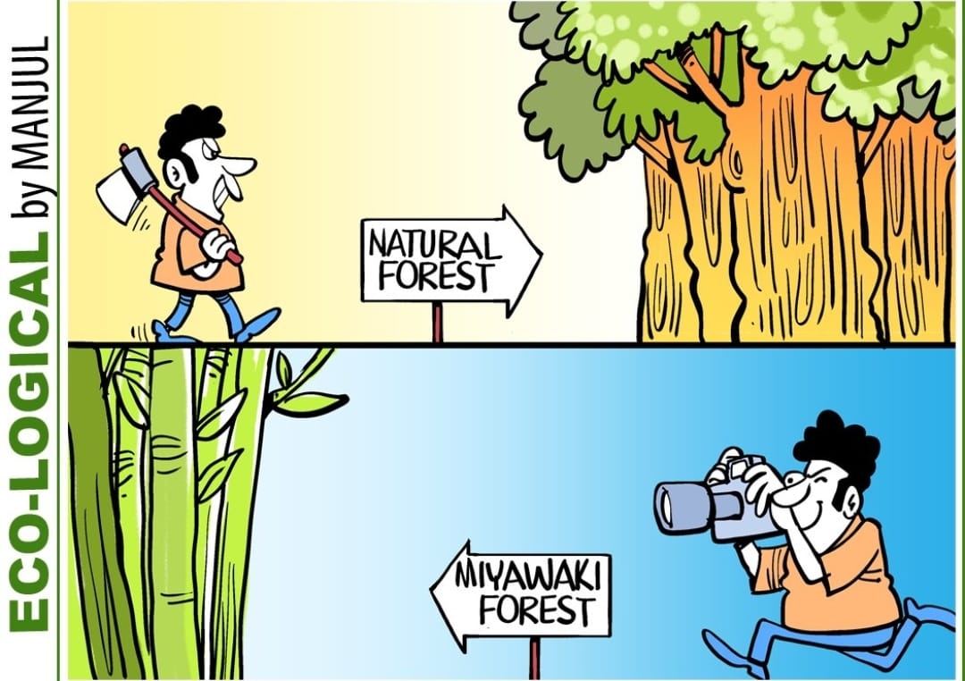 This one by @MANJULtoons is so very fact..... We are destroying our natural grown forests and running behind building man made miyawaki forest. #SaveOurForests