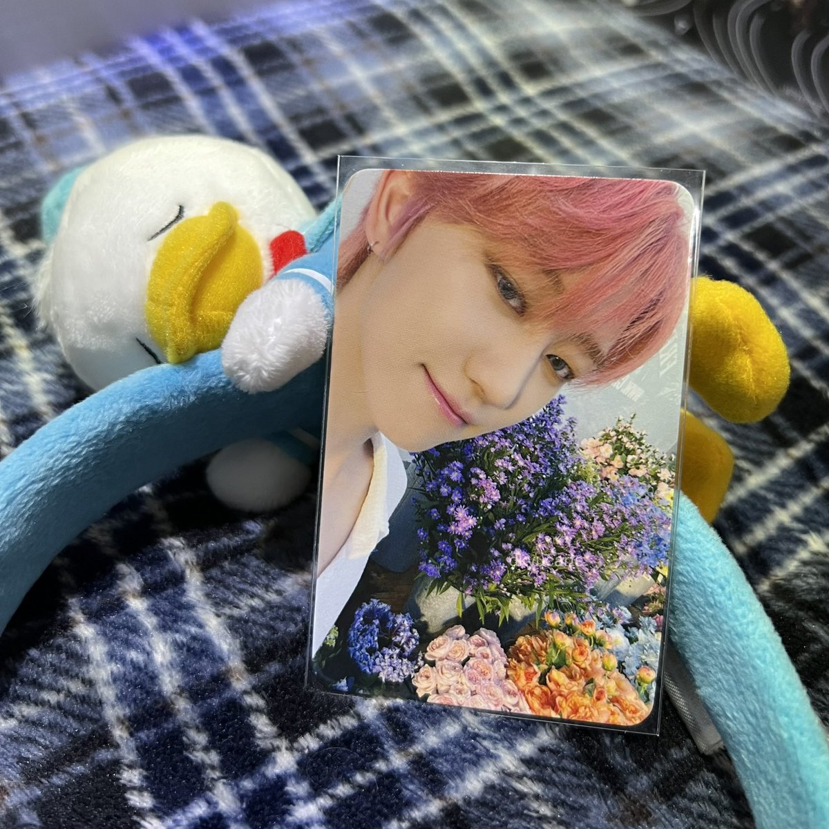 dkyucarts's tweet photo. — wts want to sell ! 

୨୧ minghao shopee s17

       QYOP (dm for offers)
       onhand
       intl buyers ok but must have ina add

⌗ seventeen svt the8 benefit shopee fansign sector 17 lfb pasarseventeen pasarsvt ตลาดนัดสวนแครอท ตลาดนัดseventeen 세븐틴 포카 https://t.co/GmTwjG7LLz
