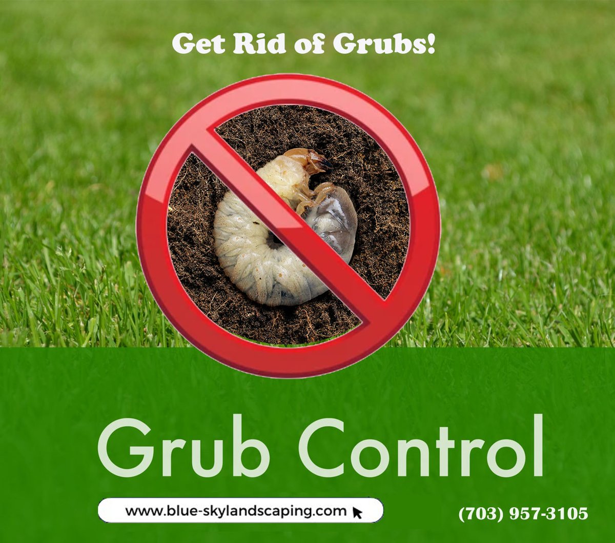 BlueSkyLScaping's tweet image. 🏡 Safeguard your lawn from grub infestations with Blue Sky Landscaping&apos;s Grub Control Program. Enjoy a healthier, more vibrant yard this season
blue-skylandscaping.com/tree-shrub-care
#LawnProtection #GrubBusters
