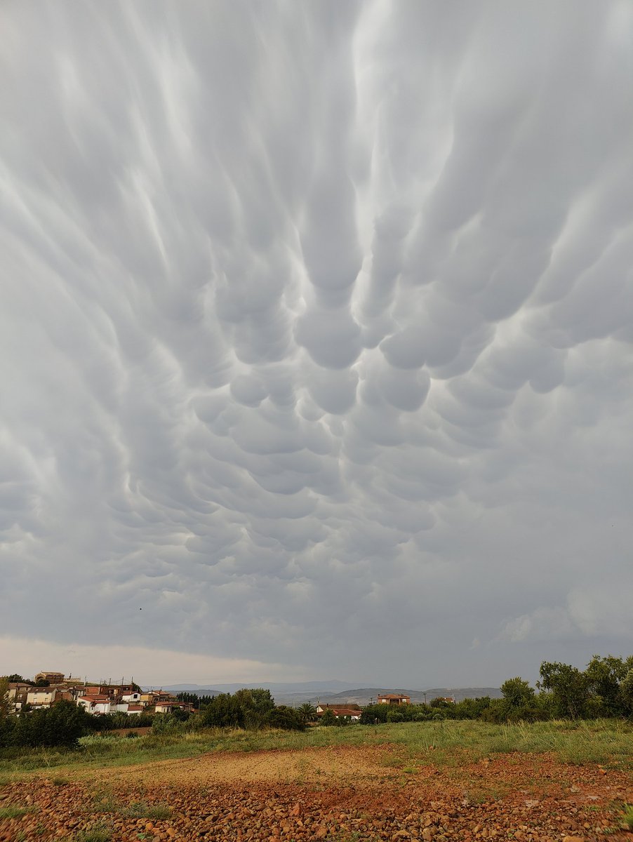 mamatus