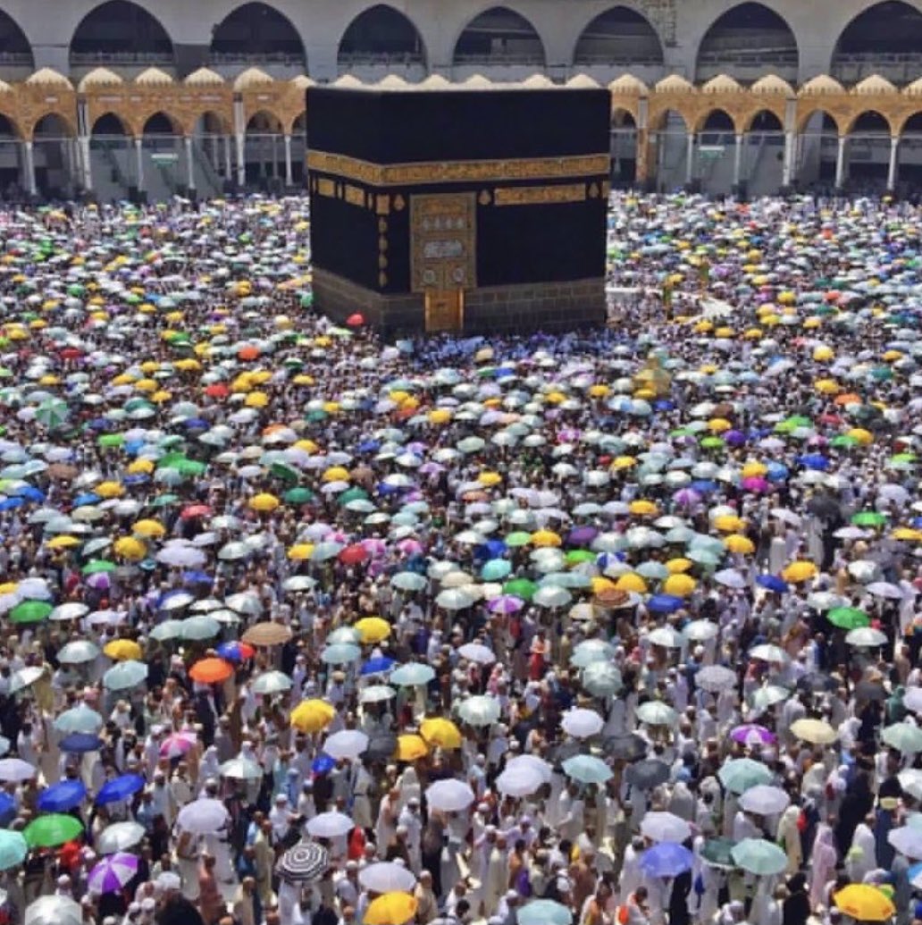 مقالتي في العزيزة <a href="/AlMajallaAR/">المجلة</a>              حول #الحج هوية إنسانية مشتركة في ظل ما تقوم به إدارة الحرمين في المملكة العربية السعودية من جهود للوحدة والانتماء.