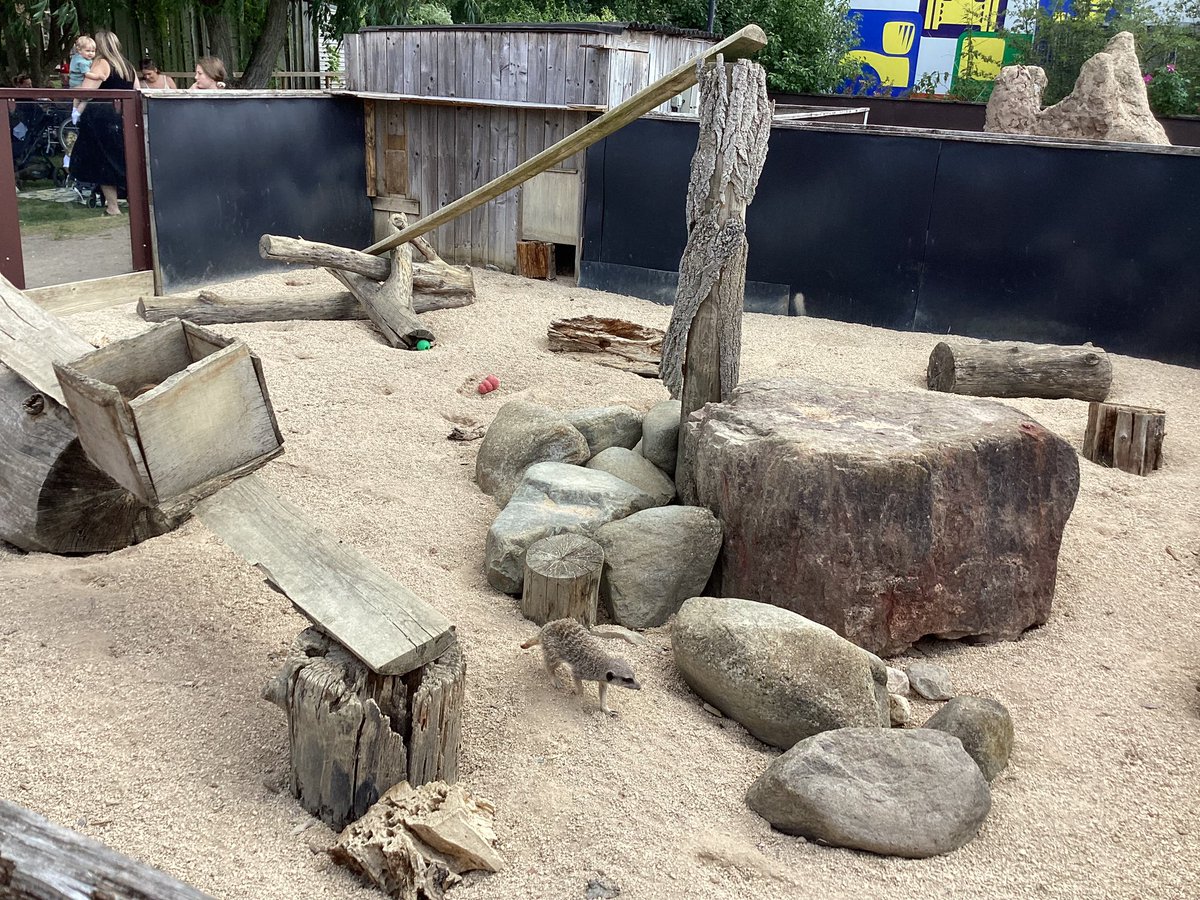 RavensdalePS's tweet photo. Year 1 have had THE BEST day at All Things Wild! We could not be more proud of the children and how well they demonstrated our school values in public. Even a member of public complimented us! Take a look at just some of the animals we saw today! #dimensions #RPSscience #RPSYear1 https://t.co/qkjYAHsZ8l