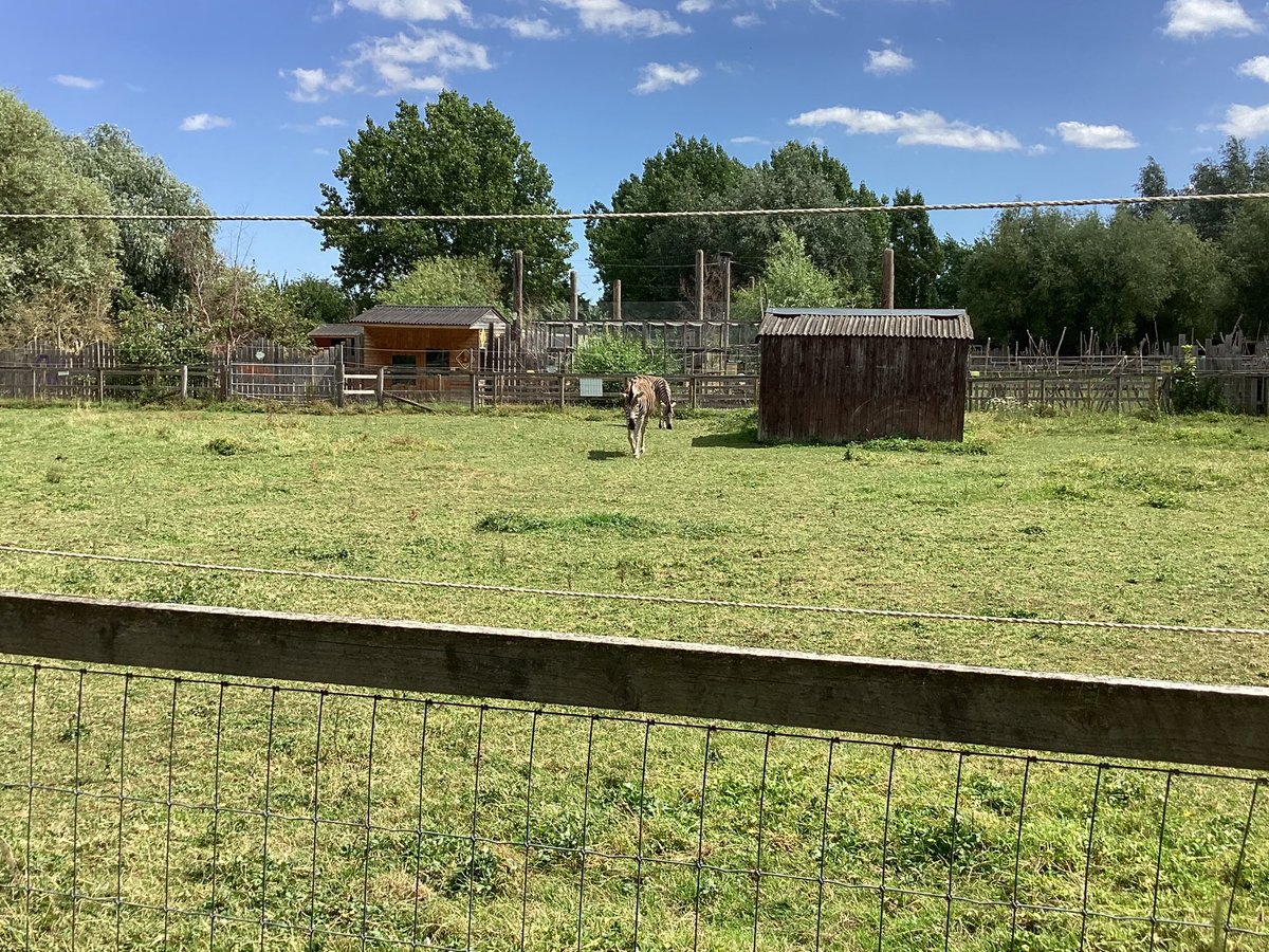 RavensdalePS's tweet photo. Year 1 have had THE BEST day at All Things Wild! We could not be more proud of the children and how well they demonstrated our school values in public. Even a member of public complimented us! Take a look at just some of the animals we saw today! #dimensions #RPSscience #RPSYear1 https://t.co/qkjYAHsZ8l