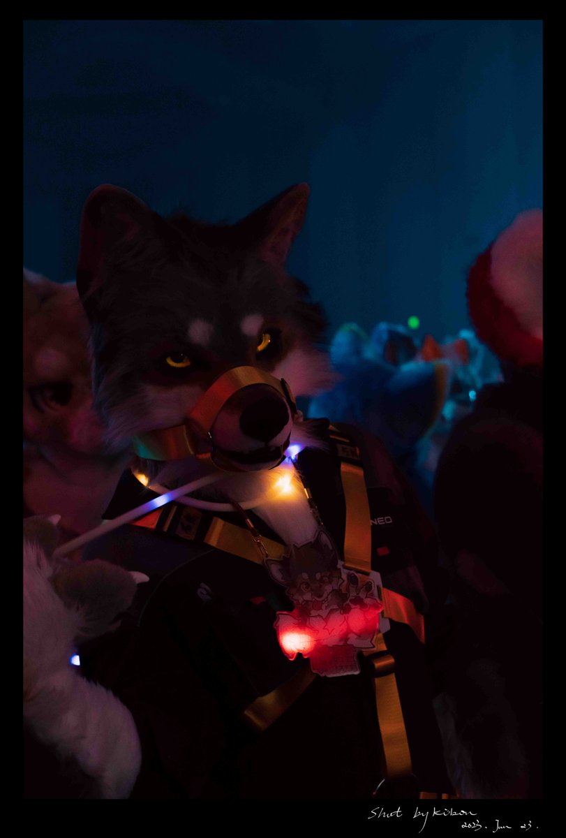 LET'S PARTY TONIGHT! #FursuitFriday Photographer @KaiYv