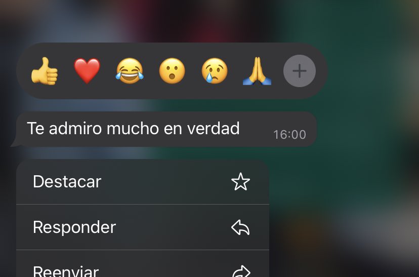 _moolero's tweet photo. Estos días están siendo… 🥹🥹🥹🥹 https://t.co/qUmZsx4VJH