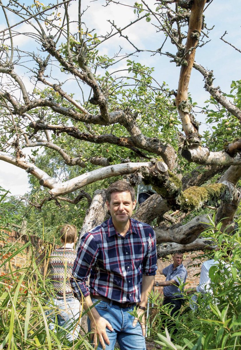 There are over 300 Bramley growers in England, but did you know the original Bramley Apple tree originated from Southwell in Nottingham? NTU is currently the custodian of the tree and back in 2018 it was featured in an episode of @BBCCountryfile presented by Matt Baker 🍏