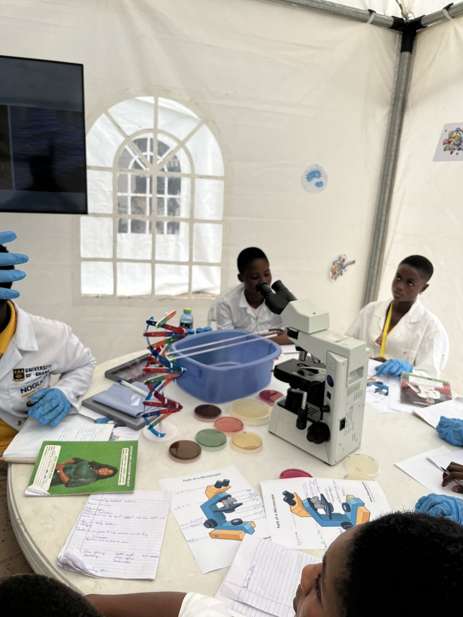 NoguchiBact's tweet photo. @visafric1 @DorothyYeboahM1 @DYMLab_NMIMR @prince @adwoaasantepok1 We’re introducing our young scientists to the microscopic world. Practical and interactive sessions ongoing at the #NoguchiBacteriology Tent.
#ScienceInTent
#StemFair https://t.co/Z49CD56lE4