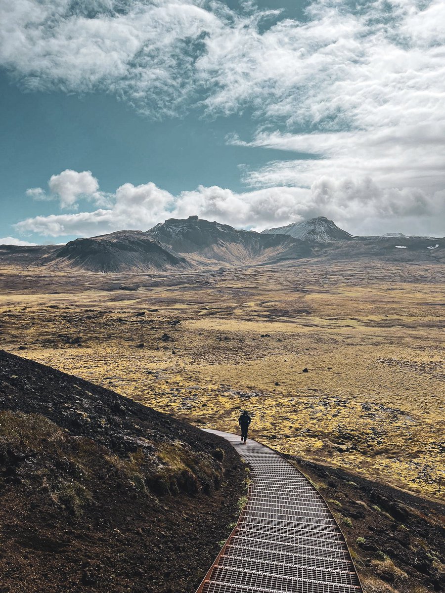 Dan Bell tweet media