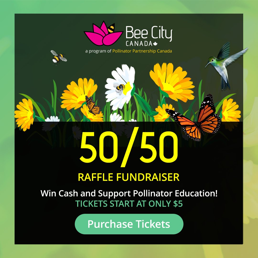 Bee City Canada (@BeeCityCanada) / Posts / X