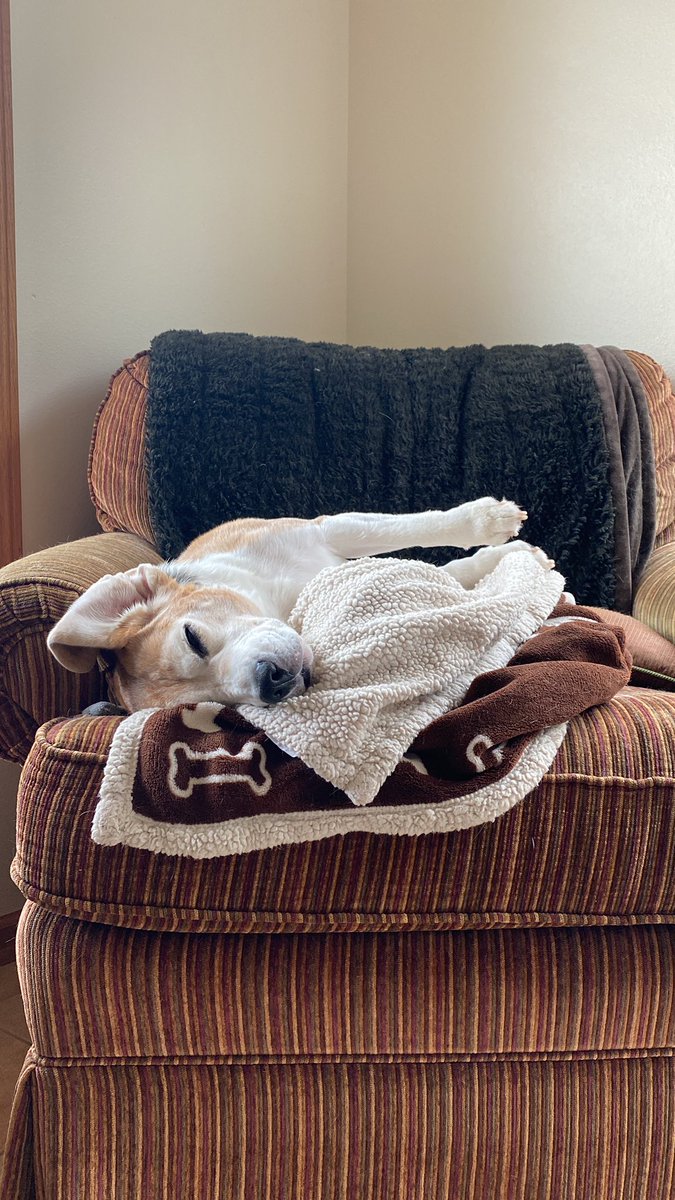 RileyBeagle tweet media