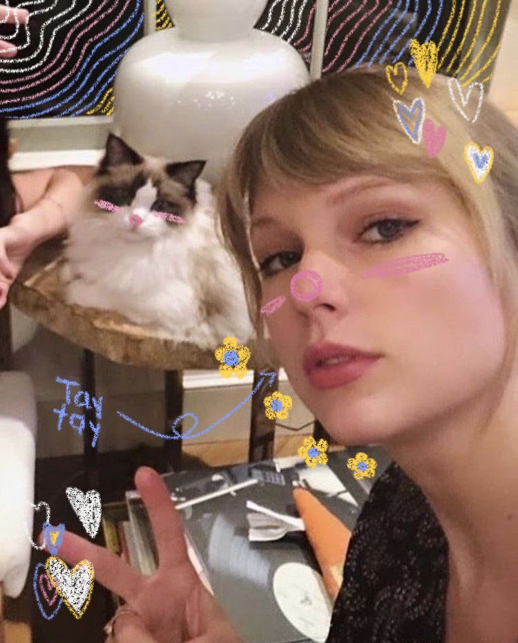 Me and my cat do #openfollow for west rp. kindly tap the retweet button to get a follow! 😼