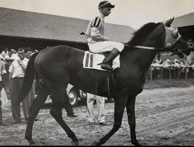 PHALANX 🇺🇸1944
(PILATE - JACOLA BY JACOPO)#Phalanx 
B/Abram S. Hewitt(Va)Mar 4, 1944.
O/ Hewitt &amp; Whitney 
T/ Sylvester Veitch. 
41-13-7-10---$409,275
1947 champion 🏆 3yo Colt. 
Remsen H, Ardsley H, Belmont S, Dwyer S, Empire City S, Wood Memorial S, Jockey Club Gold Cup,