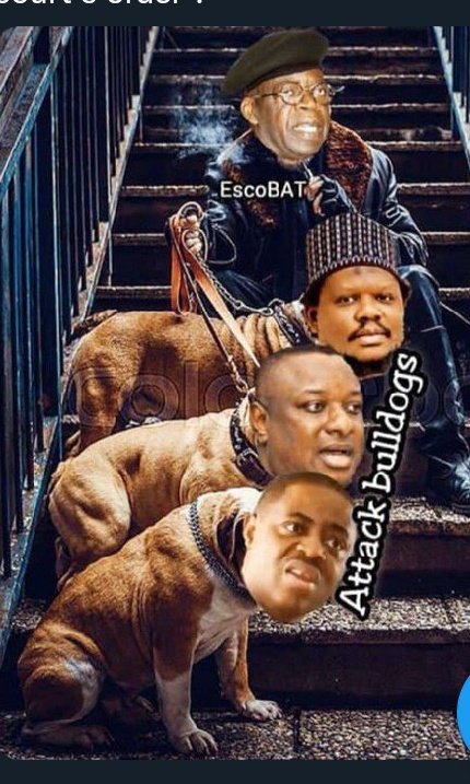 madona1996's tweet photo. Nigerians should better take anti rabbis viacine because these Tinubu's dogs will not only bark, they will bite because the kitchen is becoming too hot 🔥🥵
#TinubuTheDrugDealerConfirmed
#WeStandWithEU
#NigeriaJudiciaryOnTrial
#AllEyesOnTheJudiciary 👀👀👀 https://t.co/wEC6JUlCPe