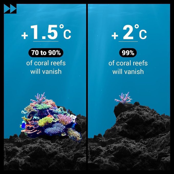UNBiodiversity's tweet photo. Every fraction of a degree counts.

Rising temperatures put marine life and coastal ecosystems at risk of irreversible loss.

Urgent #ClimateAction is needed to #SaveOurOcean.

Read more:
https://t.co/OwUAeDrCux 

Via @UNEP https://t.co/3PRlBPgZNM