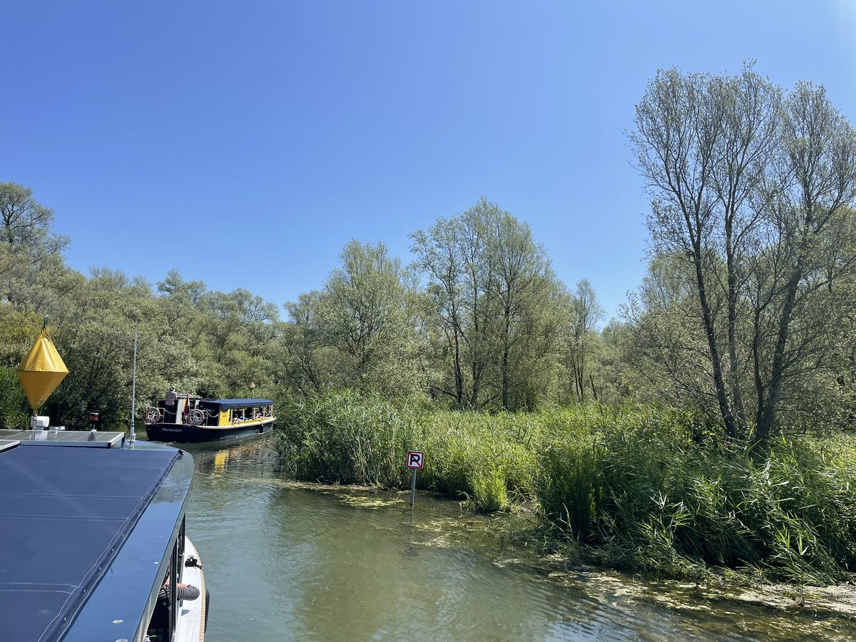 Visit today to <a href="/BiesboschLinie/">BiesboschLinie</a> on our #seeingisbelieving <a href="/WildlifeTrusts/">The Wildlife Trusts</a> Chairs &amp; CEOs trip to Netherlands. Amazing site where river management to mitigate flood risk has re-wilded a huge area &amp; created a wonderful place for people #spectacular #naturebasedsolutions 🇳🇱🌱🐝