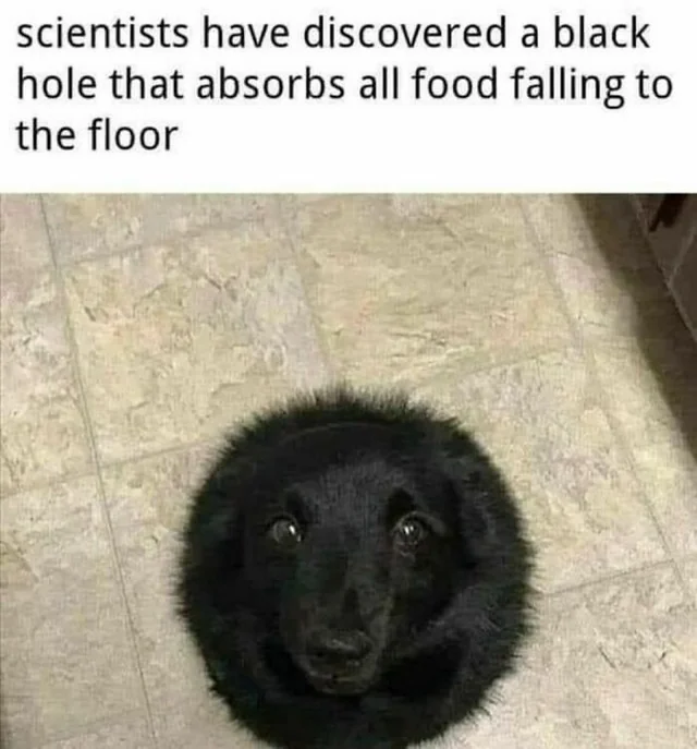 WholesomeMeme's tweet photo. https://t.co/WfImMRPk2V