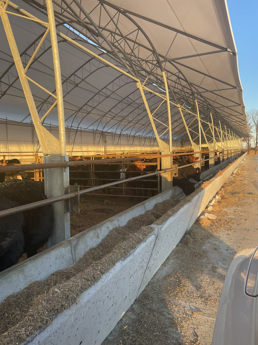 George Schupback tweet media