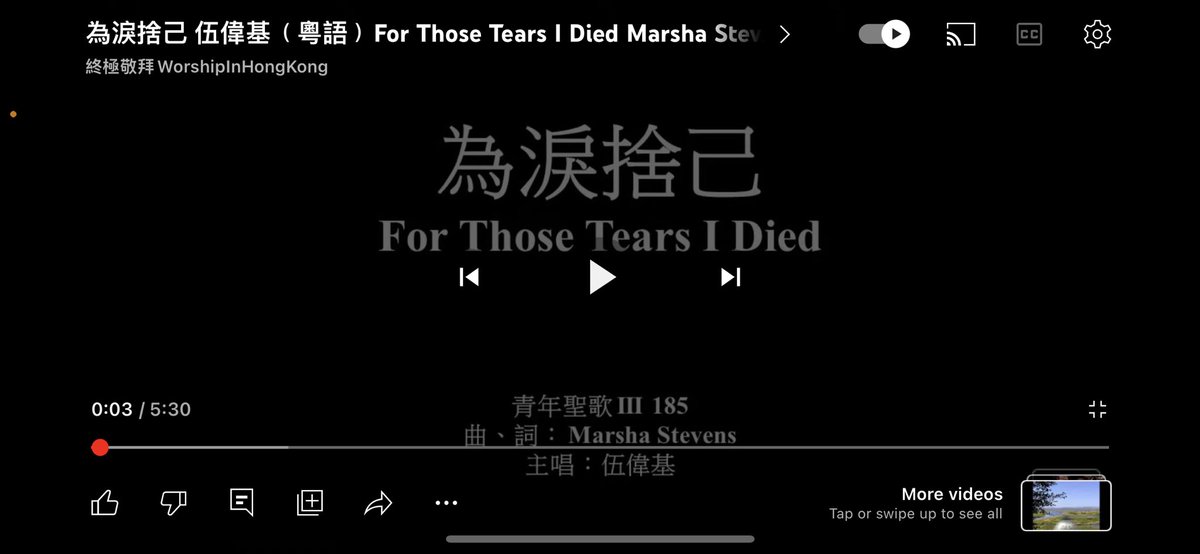 媒体预览