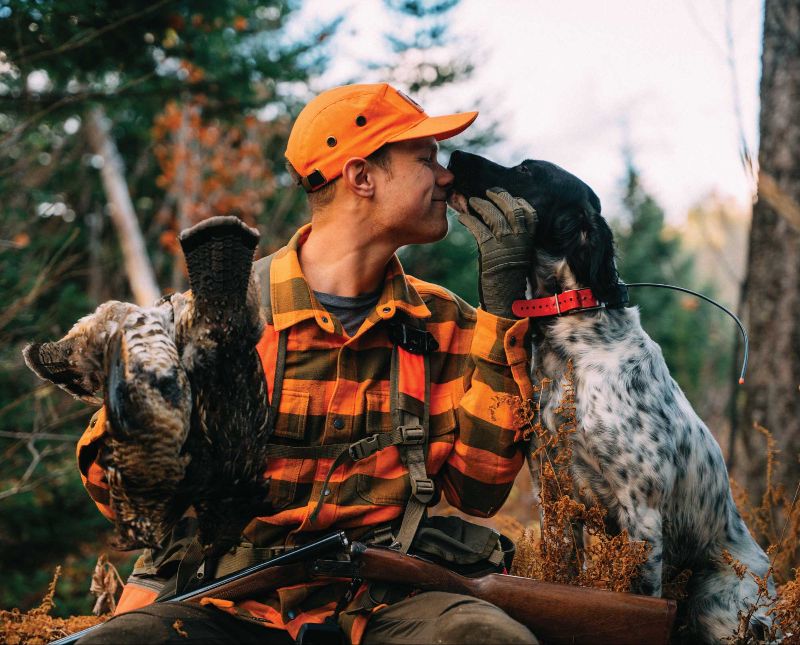 Project_Upland's tweet image. Top Bird Dog Breeds of 2023 - mailchi.mp/3201499cc96e/s…