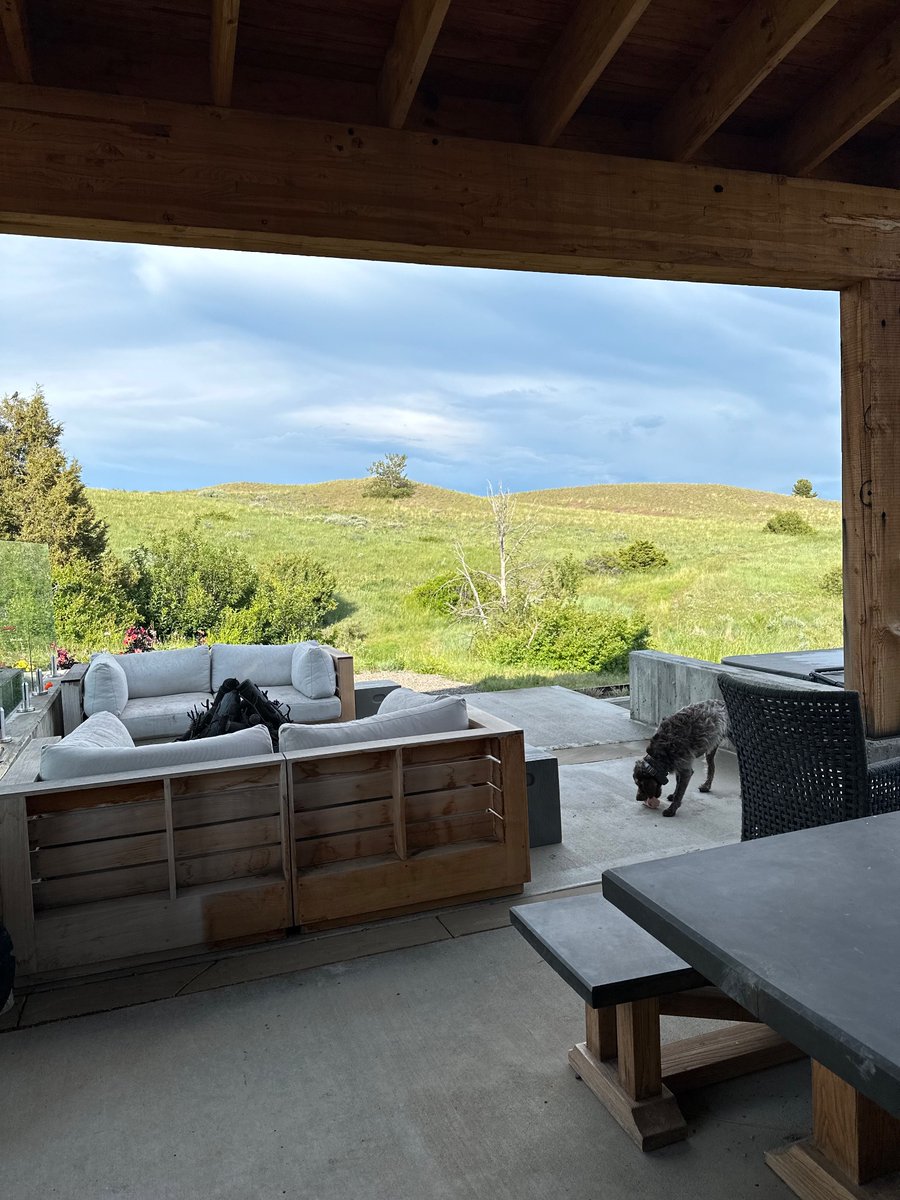 Austin Federa | 🇺🇸 tweet media