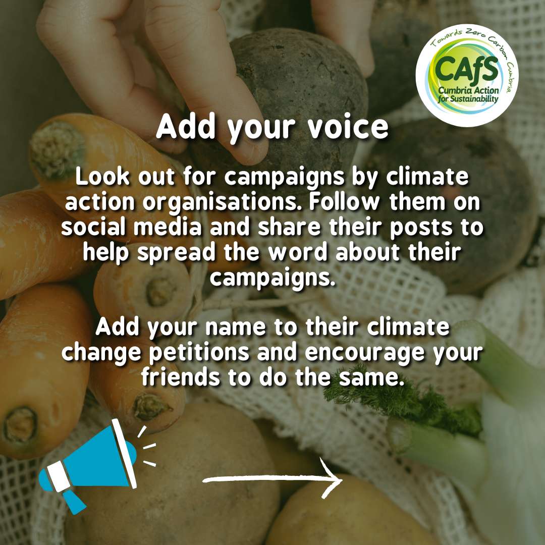 CAfStweets's tweet photo. Our final tip can be completed in just a few seconds, but it can have a huge impact 📣
Check out our full sustainable living guide here: https://t.co/ACejh2W0LF
#NetZeroWeek #zerocarbon #cumbria #greenliving #sustainability #climateaction #climatechange #climateagency #action https://t.co/oz4SSNJxpa