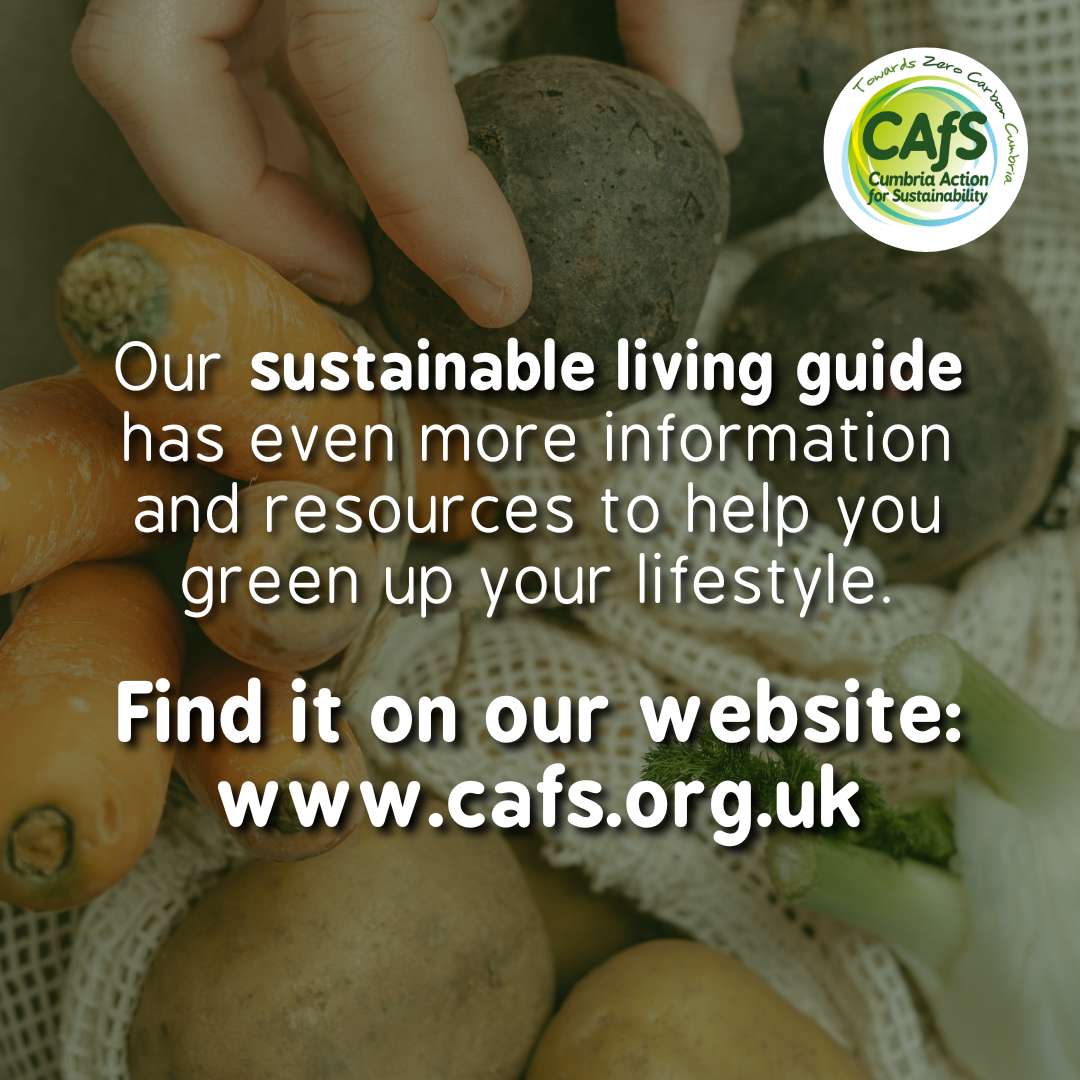 CAfStweets's tweet photo. Our final tip can be completed in just a few seconds, but it can have a huge impact 📣
Check out our full sustainable living guide here: https://t.co/ACejh2W0LF
#NetZeroWeek #zerocarbon #cumbria #greenliving #sustainability #climateaction #climatechange #climateagency #action https://t.co/oz4SSNJxpa