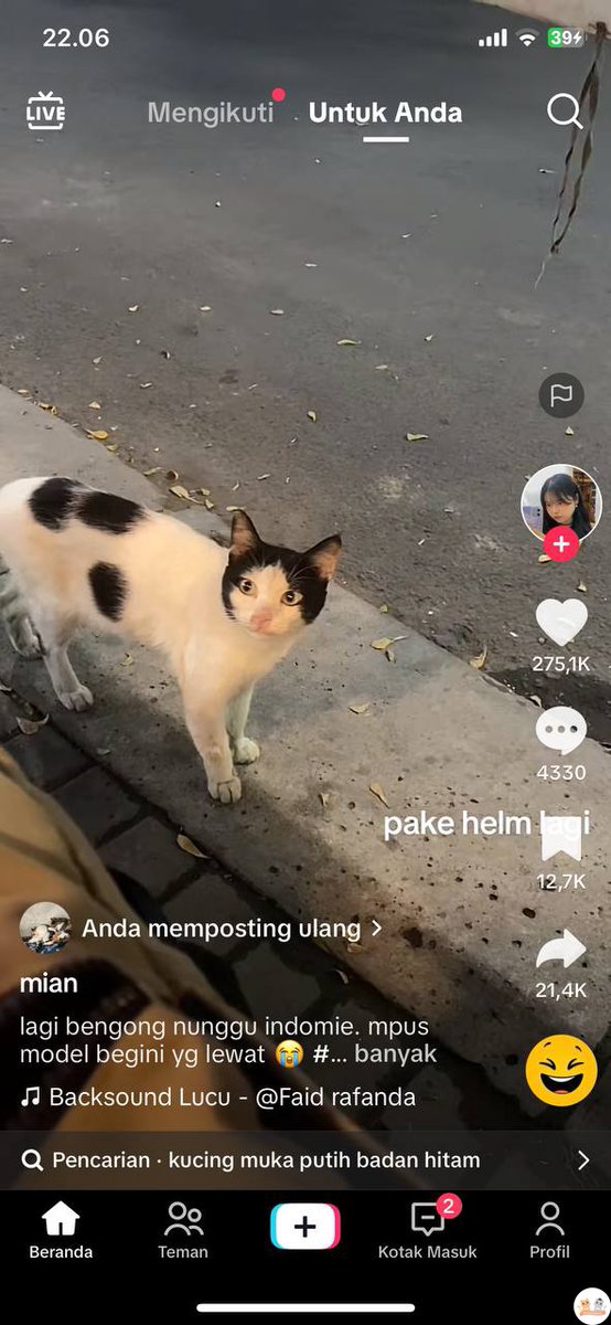 kochengfs's tweet photo. kcg! kenapa sih kucing item-putih tuh kadang motifnya ramdom2 banget😭😭 siapa yg punya motif aneh nih? https://t.co/mGcbzcK4Zn
