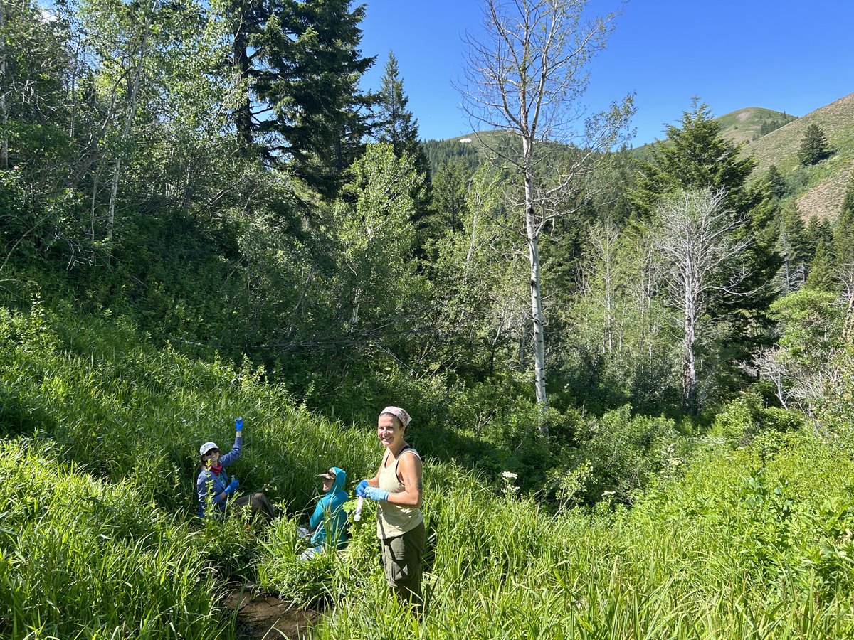 Had the most epic week sampling intermittent streams in Idaho! ⁦<a href="/IdahoStateU/">Idaho State University</a>⁩ mountain west crew are a stellar group. doing science in the mountains w awesome ppl is hard to beat #fieldworkfriday #AIMS #intermittentstreams