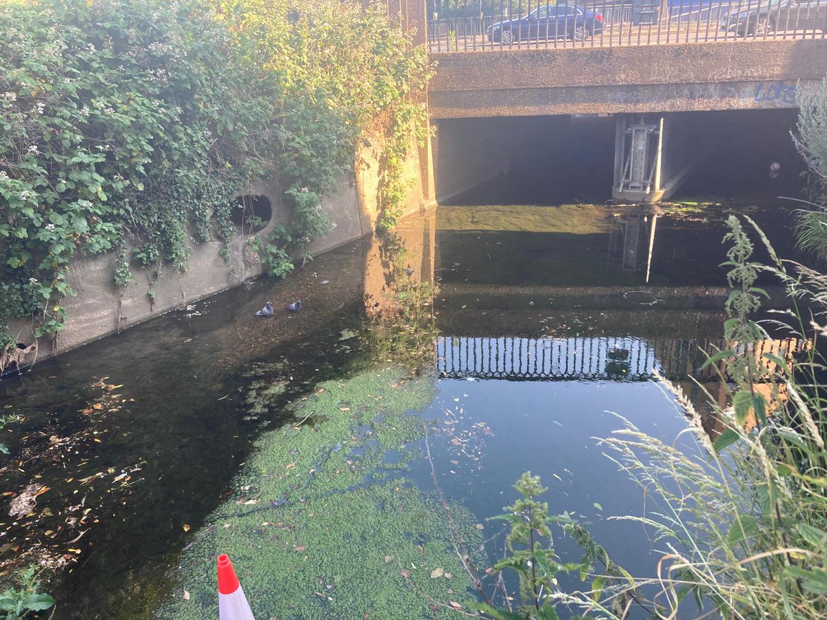 YourRBI's tweet photo. The shifting story of the River Rom from a heavily managed river to an improved wetland. Starting at Grenfell Park, the river is heavily managed, with high concrete walls, an overly straight channel, and eutrophication in full effect. (Pt 1/3)
#RBICP #RiverRom #nature https://t.co/5UclXjee1x