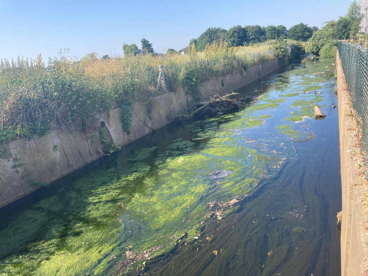 YourRBI's tweet photo. The shifting story of the River Rom from a heavily managed river to an improved wetland. Starting at Grenfell Park, the river is heavily managed, with high concrete walls, an overly straight channel, and eutrophication in full effect. (Pt 1/3)
#RBICP #RiverRom #nature https://t.co/5UclXjee1x
